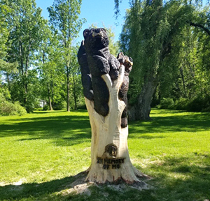 Carved Bear in Tree by Kerr Chainsaw Carving